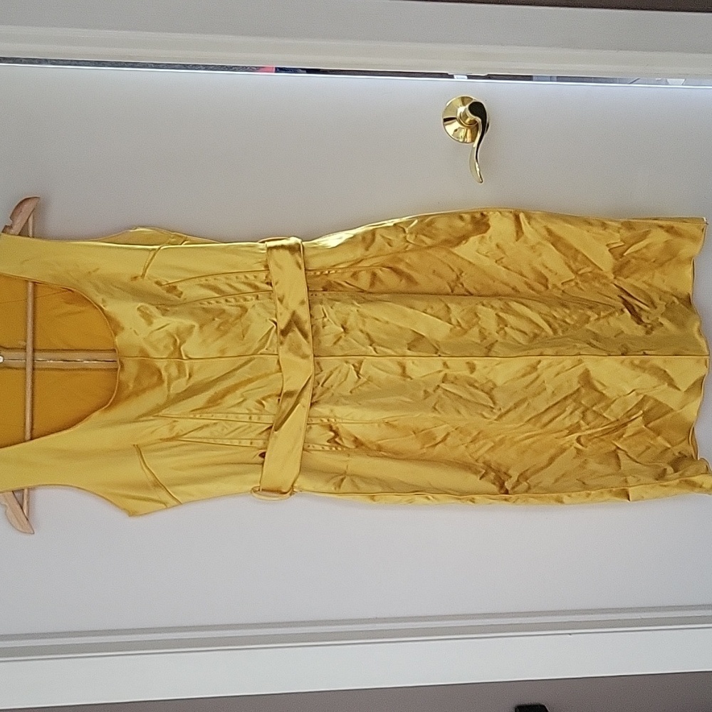 Dolce & Gabbana Gold Midi Dress - Picture 4 of 14